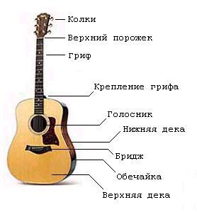 Структура гитары